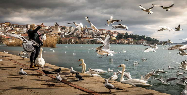 Federal regulators discover new software glitch in the Boeing Max aircraft